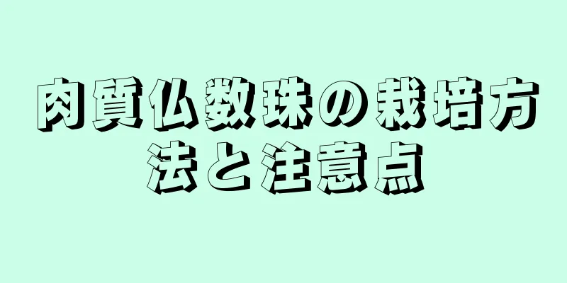 肉質仏数珠の栽培方法と注意点