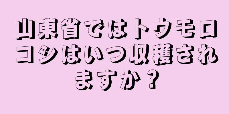 山東省ではトウモロコシはいつ収穫されますか？