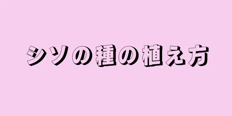 シソの種の植え方