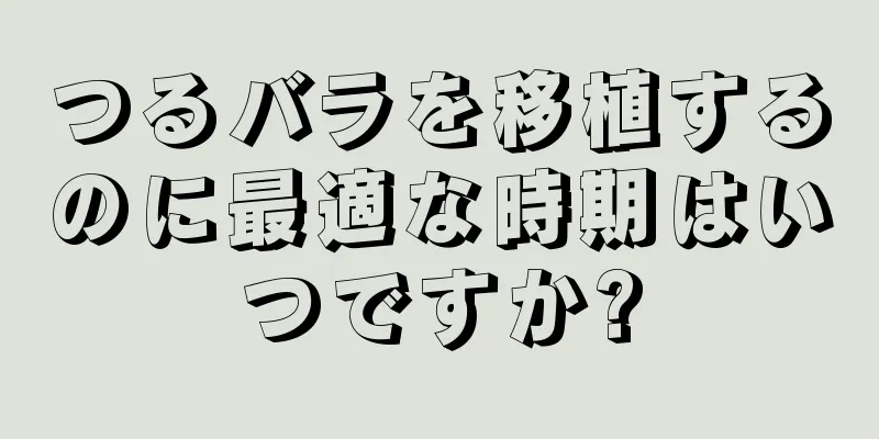 つるバラを移植するのに最適な時期はいつですか?