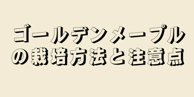 ゴールデンメープルの栽培方法と注意点