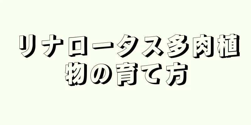 リナロータス多肉植物の育て方