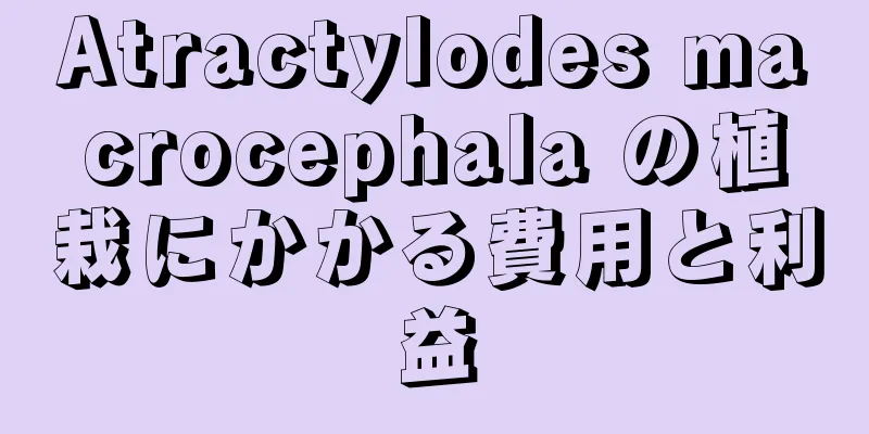 Atractylodes macrocephala の植栽にかかる費用と利益