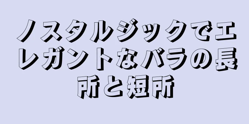 ノスタルジックでエレガントなバラの長所と短所