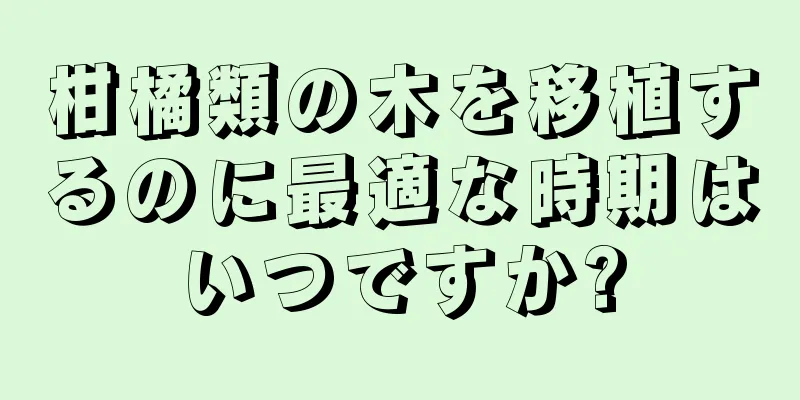 柑橘類の木を移植するのに最適な時期はいつですか?