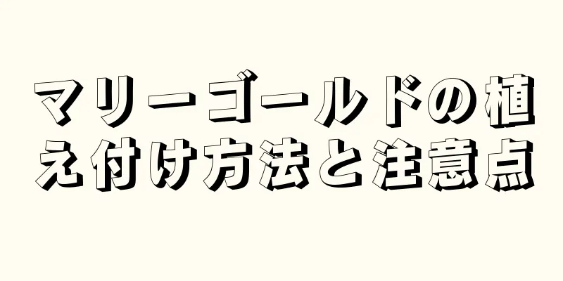 マリーゴールドの植え付け方法と注意点
