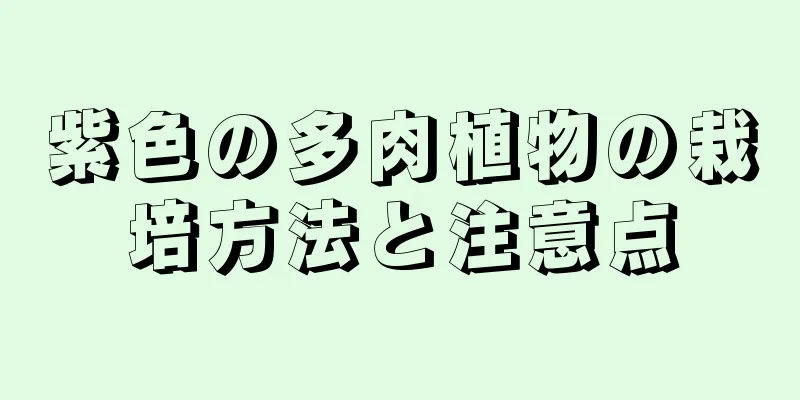 紫色の多肉植物の栽培方法と注意点
