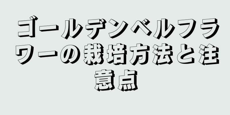 ゴールデンベルフラワーの栽培方法と注意点