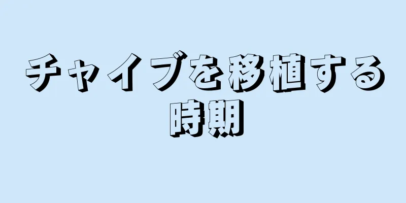 チャイブを移植する時期