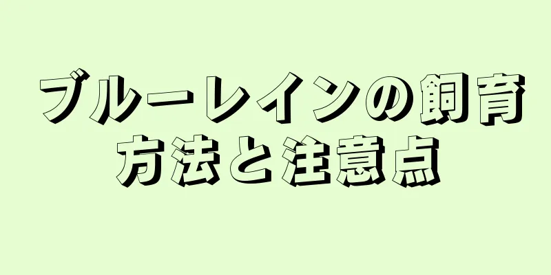 ブルーレインの飼育方法と注意点