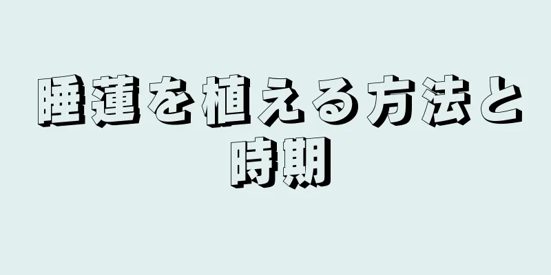 睡蓮を植える方法と時期
