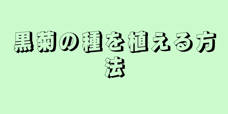 黒菊の種を植える方法