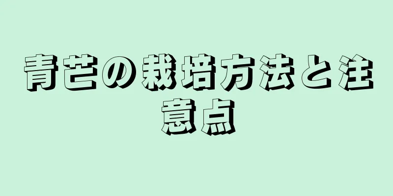 青芒の栽培方法と注意点