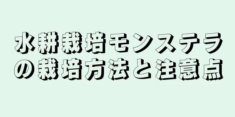水耕栽培モンステラの栽培方法と注意点