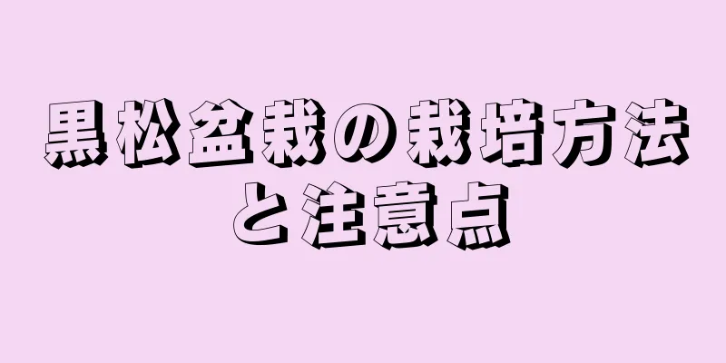黒松盆栽の栽培方法と注意点