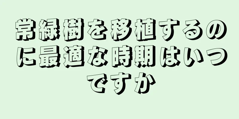 常緑樹を移植するのに最適な時期はいつですか