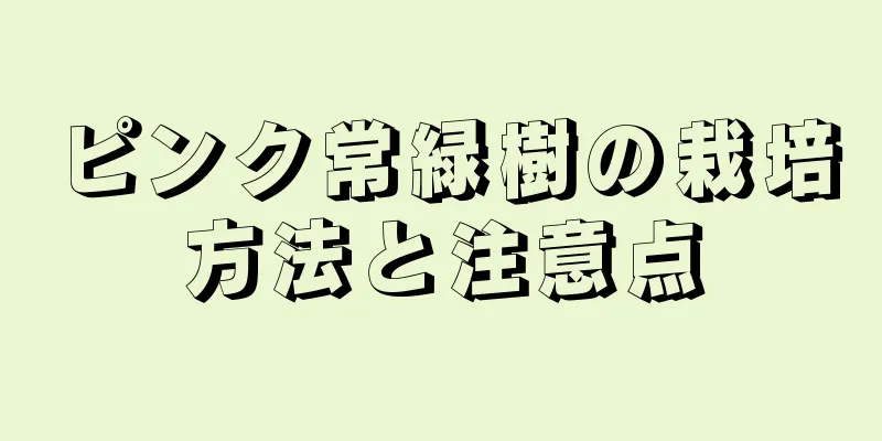 ピンク常緑樹の栽培方法と注意点