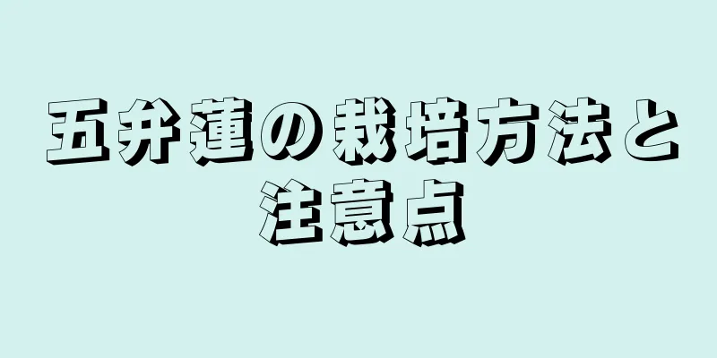 五弁蓮の栽培方法と注意点