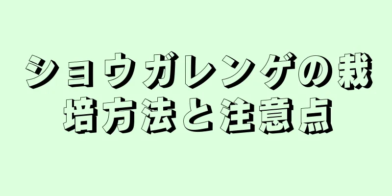 ショウガレンゲの栽培方法と注意点