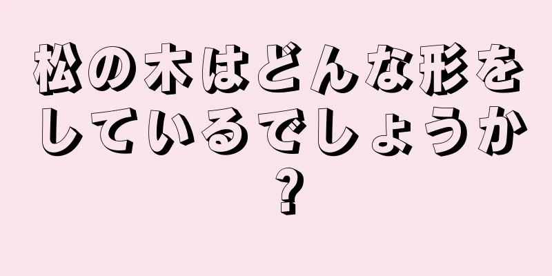 松の木はどんな形をしているでしょうか？