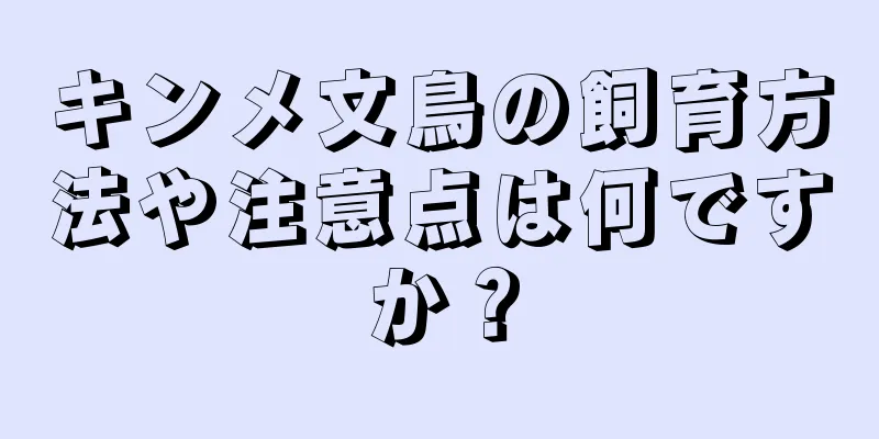 キンメ文鳥の飼育方法や注意点は何ですか？