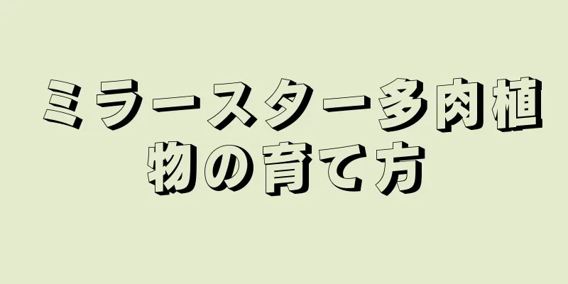 ミラースター多肉植物の育て方