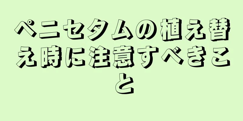 ペニセタムの植え替え時に注意すべきこと