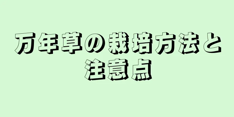 万年草の栽培方法と注意点