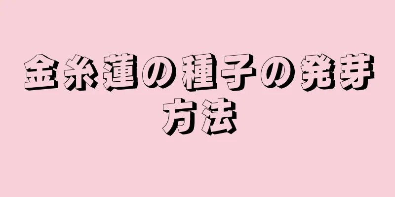 金糸蓮の種子の発芽方法