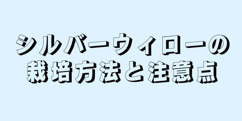 シルバーウィローの栽培方法と注意点