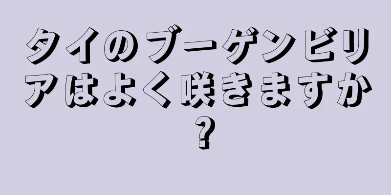 タイのブーゲンビリアはよく咲きますか？