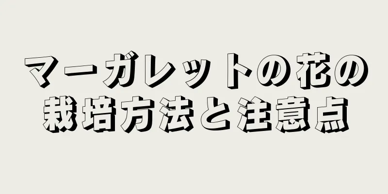 マーガレットの花の栽培方法と注意点