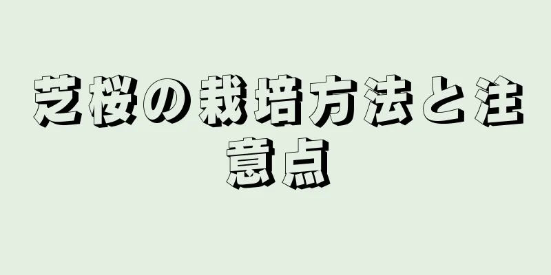 芝桜の栽培方法と注意点