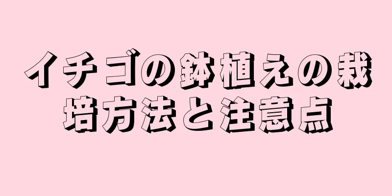 イチゴの鉢植えの栽培方法と注意点