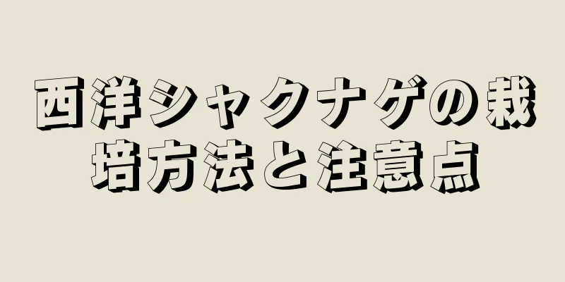 西洋シャクナゲの栽培方法と注意点