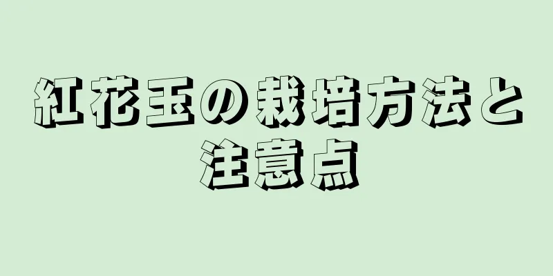 紅花玉の栽培方法と注意点