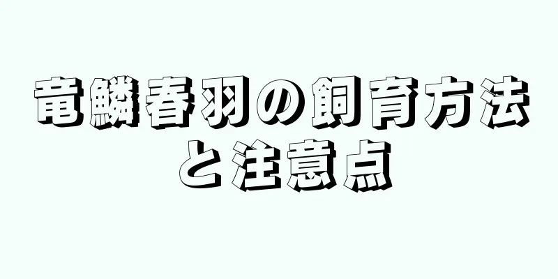 竜鱗春羽の飼育方法と注意点