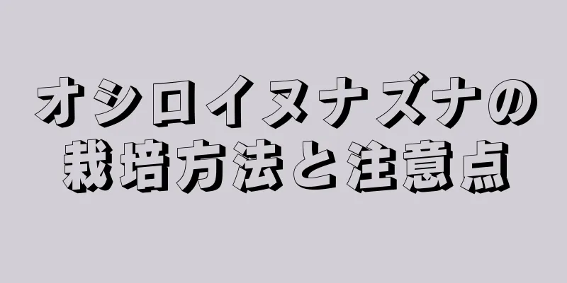 オシロイヌナズナの栽培方法と注意点