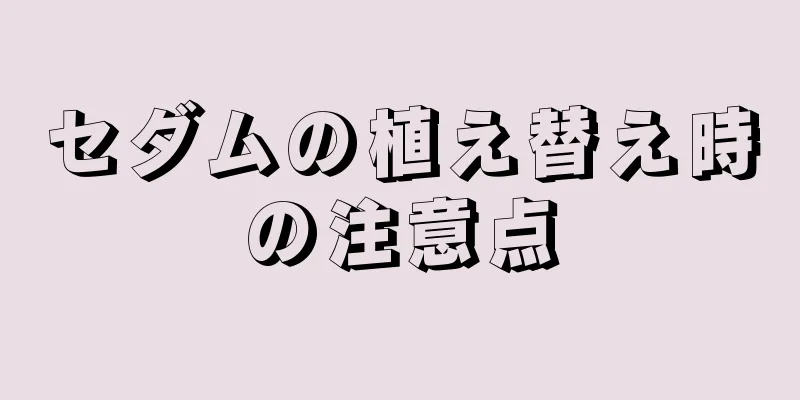 セダムの植え替え時の注意点