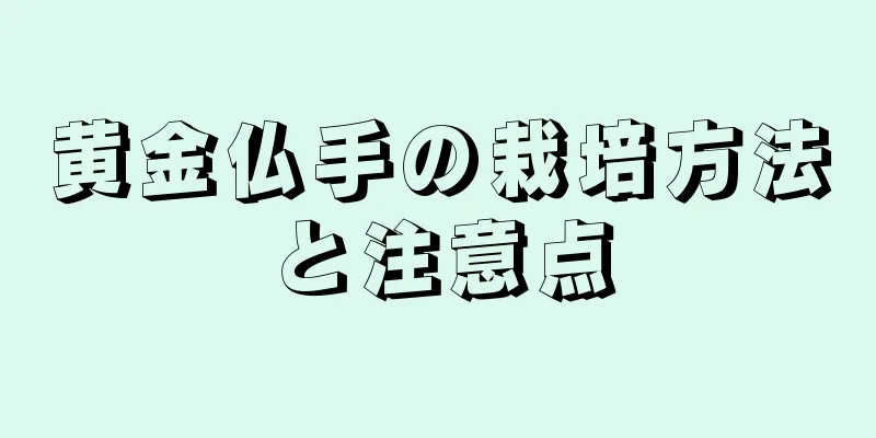 黄金仏手の栽培方法と注意点