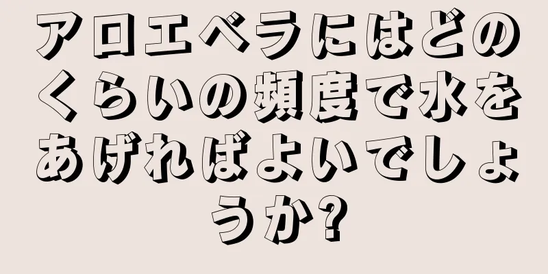 アロエベラにはどのくらいの頻度で水をあげればよいでしょうか?