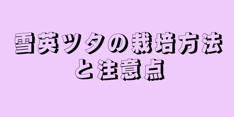 雪英ツタの栽培方法と注意点
