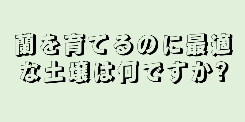 蘭を育てるのに最適な土壌は何ですか?