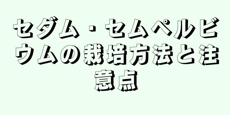 セダム・セムペルビウムの栽培方法と注意点