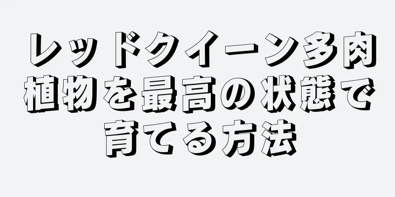 レッドクイーン多肉植物を最高の状態で育てる方法