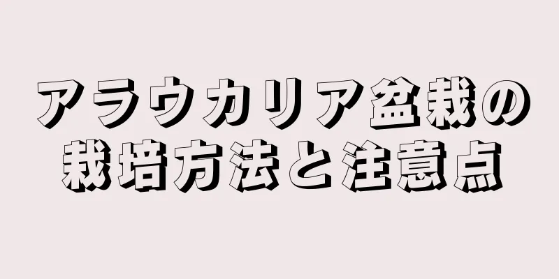 アラウカリア盆栽の栽培方法と注意点