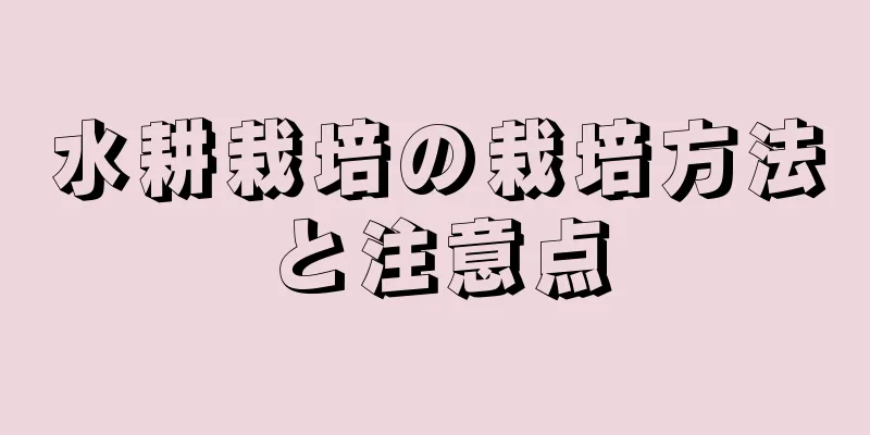 水耕栽培の栽培方法と注意点