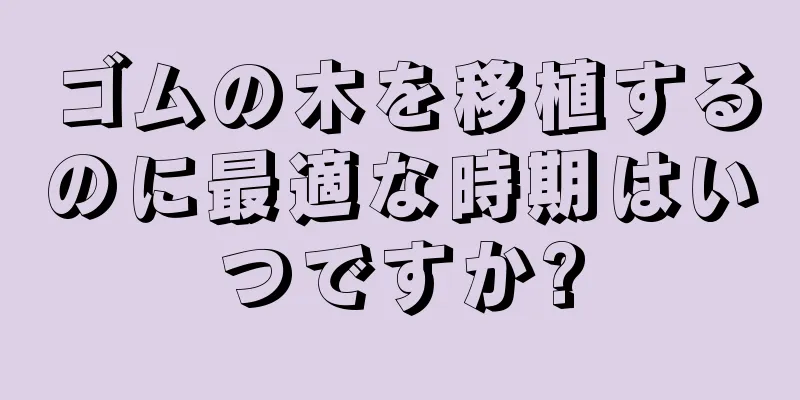 ゴムの木を移植するのに最適な時期はいつですか?