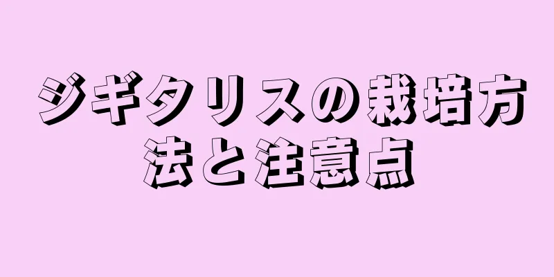 ジギタリスの栽培方法と注意点