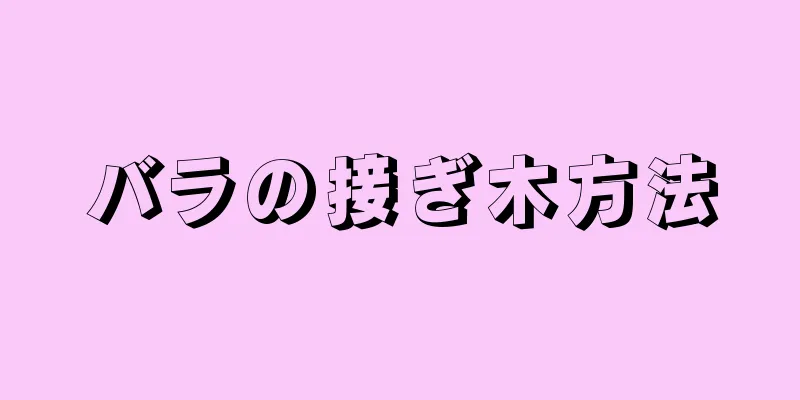 バラの接ぎ木方法